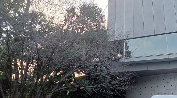 東京藝術大学大学美術館の所蔵作品