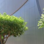 SOMPO美術館で「アルベール・マルケ展」を観てきました。