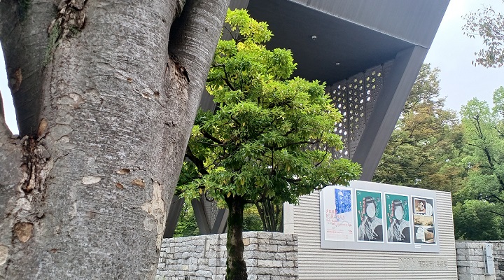 「多田美波 ― 光、凛と ゆれる」展の開催概要